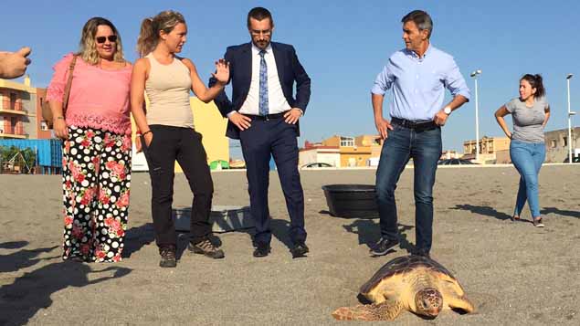Medio ambiente suelta dos tortucas en la playa de La Línea